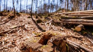 „Wir haben einfach kaum noch Zeit“: Kurs auf die Klima-Katastrophe