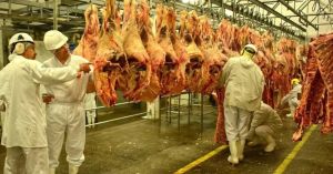 EUA suspendem tarifas sobre carne e Brasil pode ser beneficiado