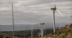 Quins fills deixarem al nostre món?