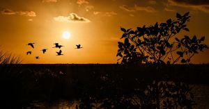 The Power of Choosing Enough Over Chasing Everything