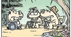 De jóvenes y de mascotas