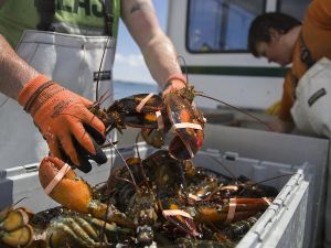 John Ivison: Hands off the lobster is smart politics