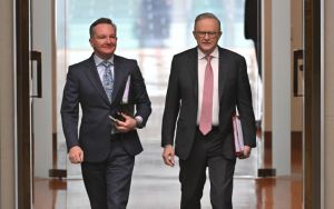 Albanese backflips on renewables for data centres