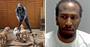 Jailed illegal dog breeder faces trial over XL Bully charges