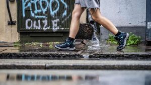DMI varsler kraftig regn og lokale skybrud