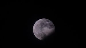 Se venden eclipses y poetas