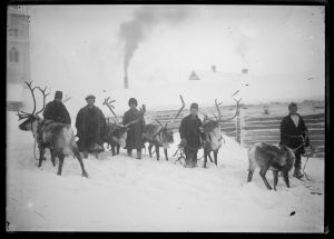 Det mangelfulle vitnesbyrdet om Røros