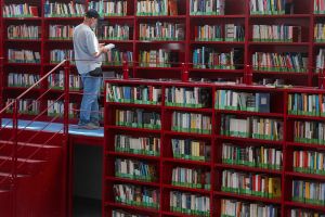 Books have become one of the defining cultural objects of the AI era