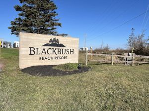 COMMENTARY: I am a P.E.I. bootlegger