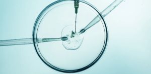 Faut‑il réduire les aides publiques à l’innovation ? Ou revoir la philosophie de leur distribution ?