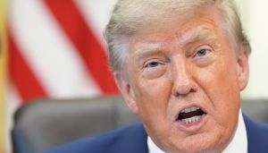 Trump wants to kill the roadless rule: Trees aren’t worth more than lives