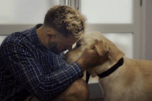 Guide Dogs highlights life’s firsts in debut work by Fold7