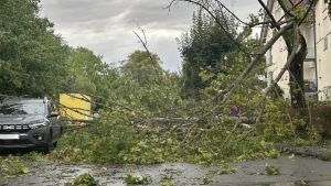 Umgestürzte Bäume, Überflutungen, Stromausfälle: So heftig wütet das Unwetter in der Region