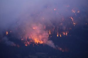Den Klimawandel und Militarisierung gemeinsam bekämpfen