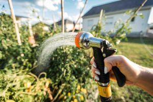 Sécheresse en Béarn : comment les habitants et communes s’adaptent aux restrictions d’eau