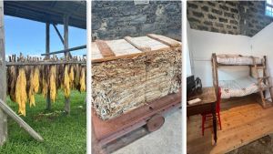 A Maia il Museo del Tabacco racconta soprattutto le donne