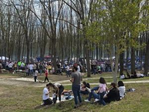 Benevento, spari al Parco De Mita: ventenne soccorso in ospedale
