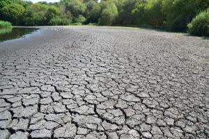 COP 17 en Mongolie : Les États-Unis et les pays riches refusent d’agir contre la sécheresse
