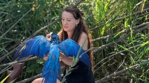 Il pappagallo Dex non ce l’ha fatta: era stato ritrovato dalla Canottieri Sile
