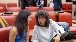 La izquierda alternativa en la encrucijada