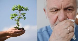 Teacher donated $5,000 to plant trees in China. 27 years later, he’s moved to tears by the results.
