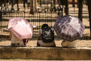 El verano en que murió la noche