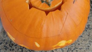 Der Herbst klopft an die Tür – Sommerfeeling vor dem Aus?
