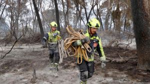 Si todo funcionó, ¿qué falló en el incendio del Saler?