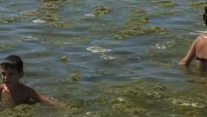 Falsi video sul mare di Rimini. L’influencer denunciato: 