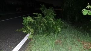 Temporali e vento, notte di paura nel Basso Isontino: volo da Brindisi a Ronchi spostato su a Bologna