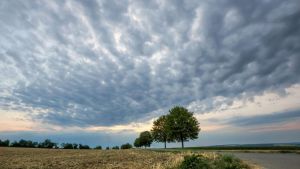So wird das Wochenend-Wetter im Südwesten