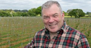 Norfolk vineyard wins five medals at wine competition