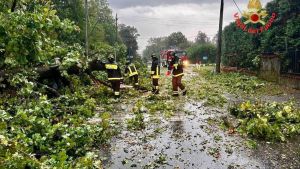 Unwetter in Italien: Dom und Rathaus von Cremona beschädigt