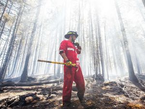 Opinion: We need to reduce wildfire fuel and zone better