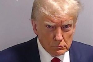 Freed: We're not knuckling under to The Don