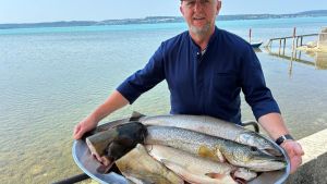 Wels, Forelle, Hecht: Wo kann ich Fisch aus dem Bodensee essen?