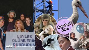 Odatv leylek ölümlerinin peşini bırakmıyor: Doğa gözlemcisi ne anlattı