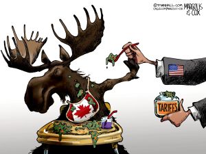 Cartoonist’s Take: Saturday, August 29, 2026