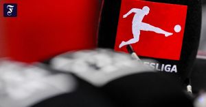 Seepferdchen für Fußballprofis