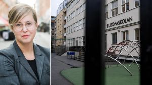 Jo, det är faktiskt vinstintressets fel