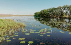 The world is living beyond its water means