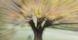 Fall Transitions: What Will You Harvest? What Let Go?