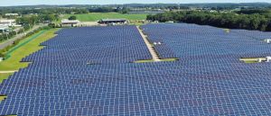 Blue State’s New Solar Religion Is Absolutely Devastating To Wildlife, Farmland