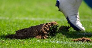 Highmark Stadium's natural grass to be replaced before Bills' home opener
