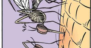 La cena de los mosquitos