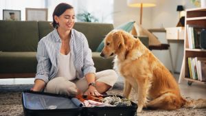 Urlaub im Elsass mit Hund: Diese Einreise-Regeln sollten Sie kennen