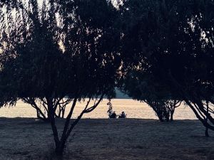 Çanakkale Külliyesi… Resimli Mısralarla Acı-Tatlı Tarifleri