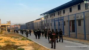 Seguridad más institucionalidad