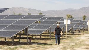 ¡Bienvenidos a la selva energética!