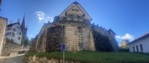 Die Musealisierung unserer Welt